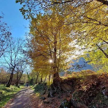Villaggio Turistico Il Dorato Campsite *